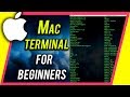 How To Use Terminal On Your Mac - Command Line Beginner's Guide