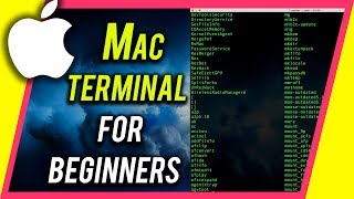 How To Use Terminal On Your Mac - Command Line Beginner