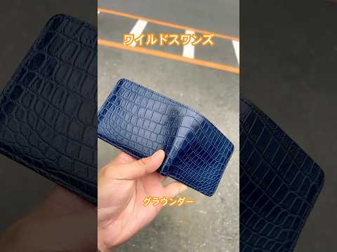 カーサ・グアッツォーニ - 定義