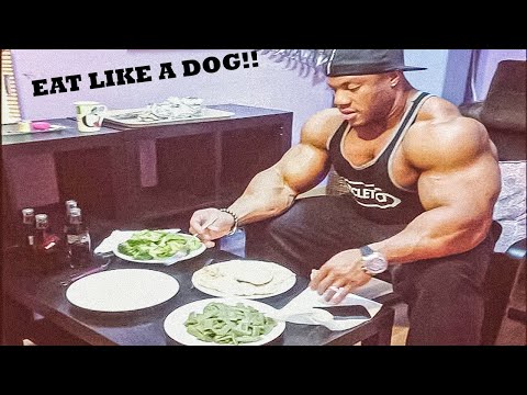YOU GOTTA EAT LIKE A DOG  - YOU ARE NOT EATING ENOUGH _ BODYBUILDERS DIET MOTIVATION
