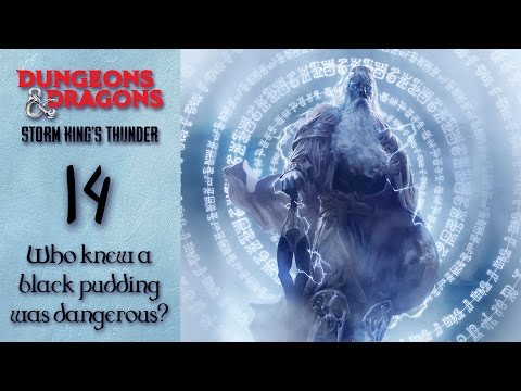 Let's DnD 5e - Episode 14 - Who knew a black pudding was dangerous?