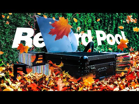 Best RECORD pool For REGGAE | 2020