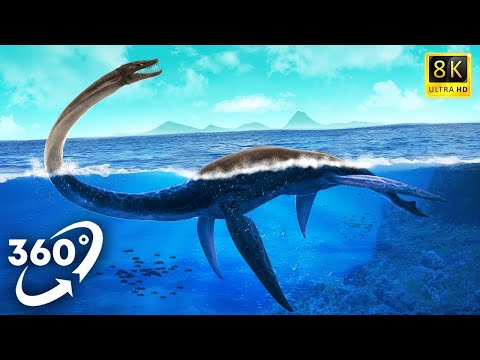 VR Jurassic Encyclopedia #27 - Plesiosaurus dinosaur facts 360 Education