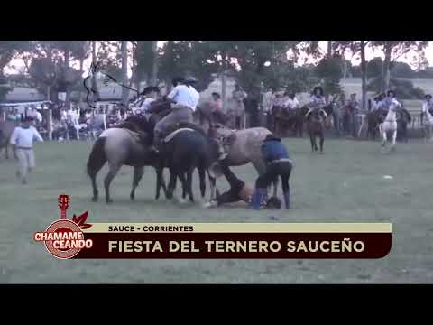 Fiesta del Ternero Sauceño - momento de la Jineteada - Sauce - Corrientes