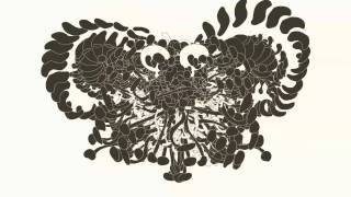 Panda Bear - Alsatian Darn (unofficial video by Ori Toor)