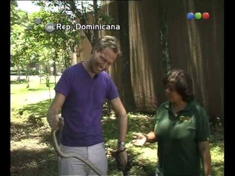 Marley y las serpientes - Por el Mundo