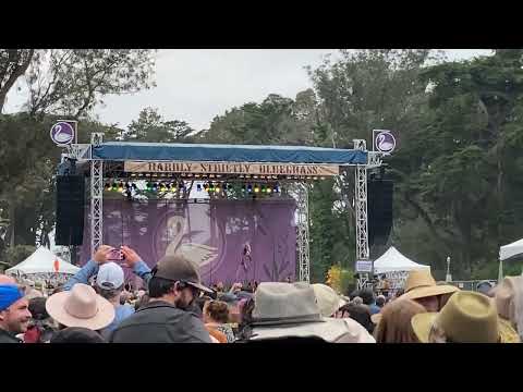 Jerry Harrison and Adrien Belew -Born Under Punches- LIVE