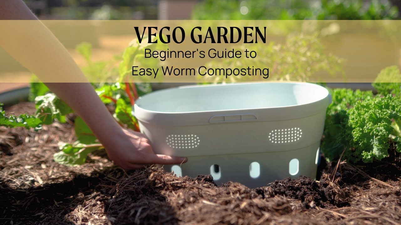 Beginner's Guide to Easy Worm Composting | Vego Garden