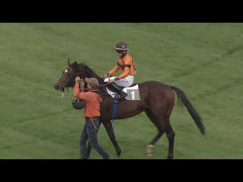 1. dostih - Podzimní mostecký sprint - dostihy Most 10. 10. 2020