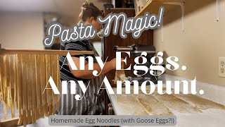Homemade Egg Noodles| Goose Eggs + Sourdough Discard | Preserve Eggs  #everybitcountschallenge