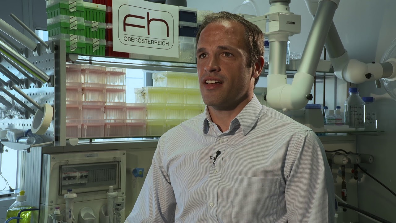 Bioactive Ingredients Research