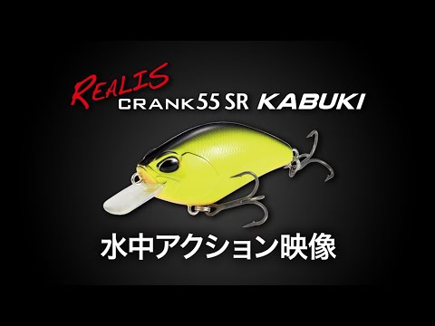 DUO Realis Crank 55 SR Kabuki 5.5cm 9.7g ACC3303 Hazzard Chart II F