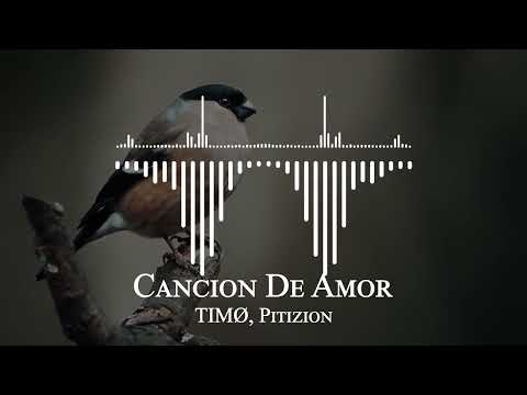 TIMØ, Pitizion - Cancion De Amor