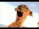 download lagu mp3 mp4 Sam Ugly Dog, download lagu Sam Ugly Dog gratis, unduh video klip Sam Ugly Dog