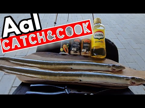 Aal Catch&Cook angeln auf Aal über Tag und übetribene Sommer Vibes #aal  #eel #angeln #fishingS8 F10