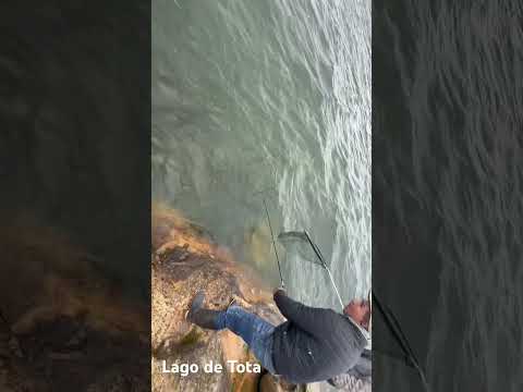 Pesca de trucha lago de Tota, Boyaca.