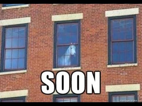 Hobune 3 - Hennessy jaburus saabub buraaniga