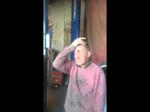 download lagu mp3 mp4 Egg Stuck On Head, download lagu Egg Stuck On Head gratis, unduh video klip Egg Stuck On Head