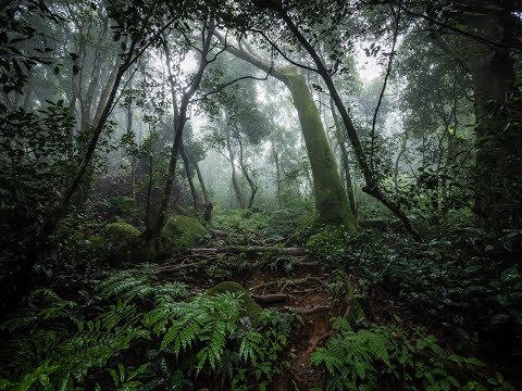 TOP 5 BEST TRAILS IN THE SEYCHELLES