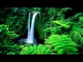 DJ Shah feat Tony Carey - Rainmaker Chillout Mix ...