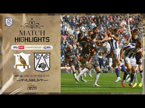 bg-highlight