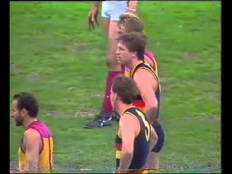 1991 AFL Season - Round 14 - Adelaide Crows v Brisbane Bears
