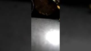 Playing your song . Petals .cover of Hole .