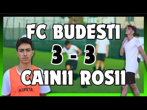 FC BUDESTI 3-3 CAINII ROSII | Grupa A | Cupa HOOD Editia I