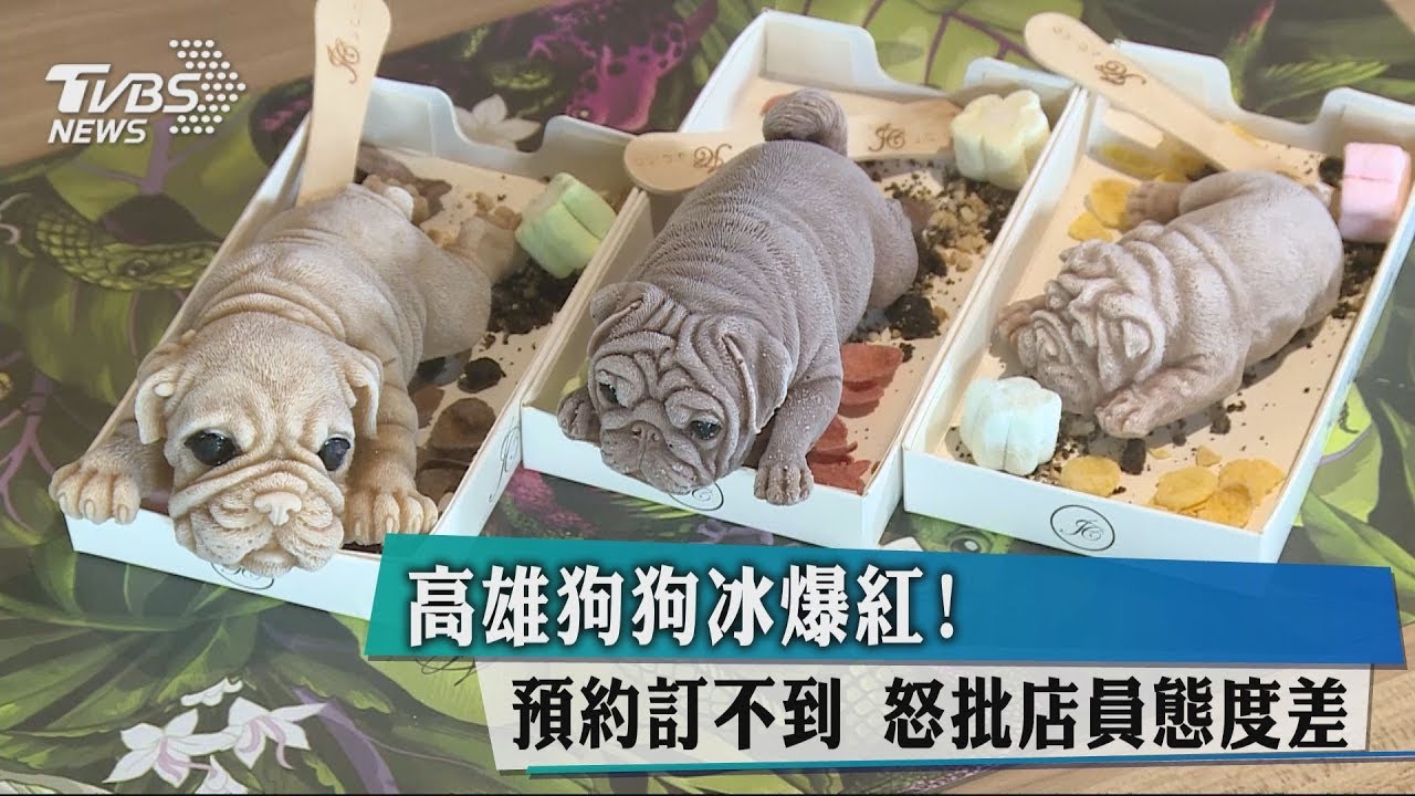 高雄狗狗冰暴紅!預約訂不到 怒批店員態度差
