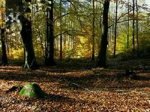 O Teu Amor - Asaph Borba
