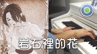 岩石裡的花 鋼琴版 (主唱: 鄧紫棋 G.E.M.)