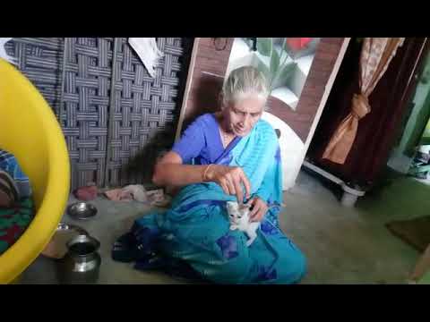 small cat and jayakanthamma