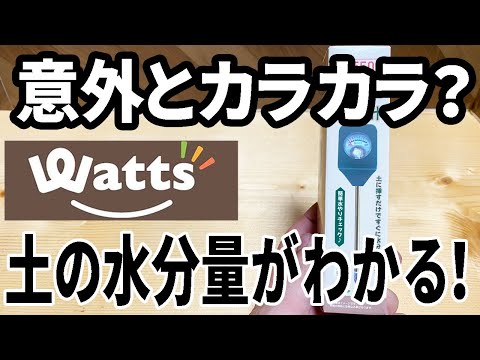 庭から採れた健康な根と塊茎 トピックス