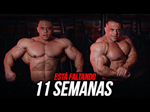 ESSE É O SHAPE FALTANDO 11 SEMANAS PARA O PRO SHOW