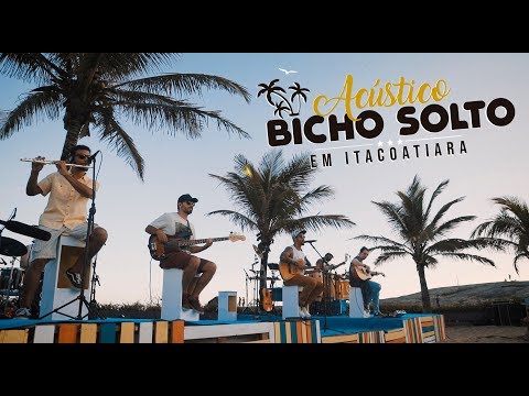 Cheiro Do Perigo - Banda Bicho Solto