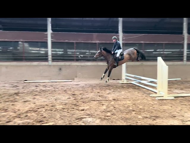 Under the saddle
