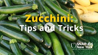 SNAP-Ed NY - Zucchini Buy, Store and Prep