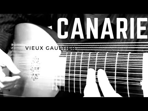 Canarie, vieux Gaultier