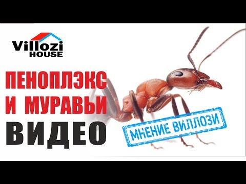 Пеноплэкс и муравьи? Часто задаваемые вопросы о СИП. FAQ