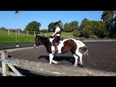Video... Di CleoDressage 2020.09.22 095629