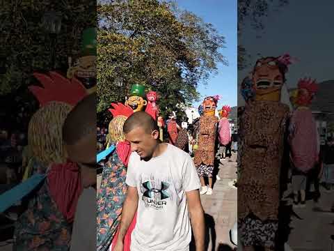 #cimarrona #nicoya #parquedenicoya #guanacaste