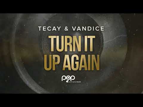 TeCay & Vandice - Turn It Up Again (TobiMorrow Remix Edit)