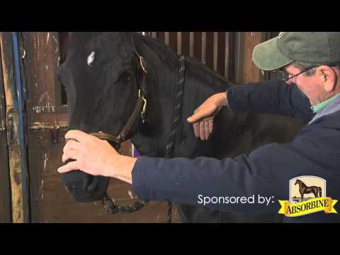 Scapula Release With Jim Masterson