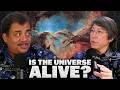 Neil deGrasse Tyson & Charles Liu: Could the Universe Be Alive?