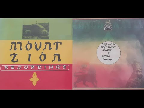 OLD SCHOOL RAGGA JUNGLE VINYL MIX - Congo Natty Vol.2 (MIXED BY DJ DRIVER T2B CREW)