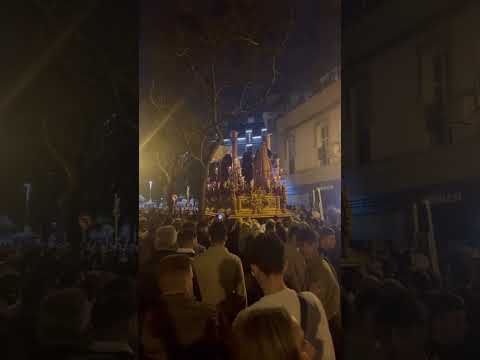 ABNEGACIÓN DE SAN BERNARDO SEVILLA 2026 | A.M VIRGEN DE LOS REYES