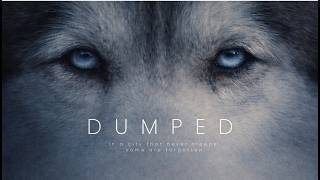 Dumped | Official Teaser