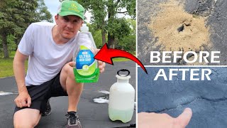 How to Get Rid of Ants in Yard or Driveway