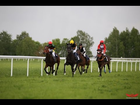 betfair žirgų lenktynių prekybos sistemos