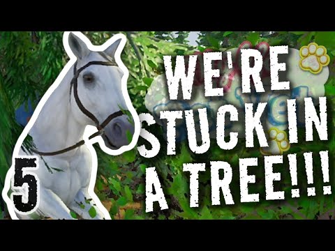 STAMPY & SQAISHEY - MY LIFE: PET VET [5]